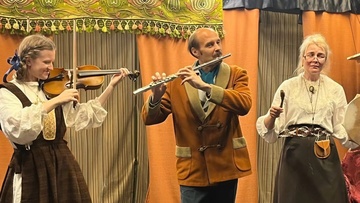 Дикая утка