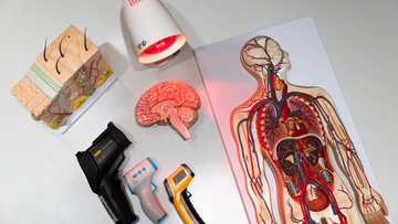 Секреты теплокровных