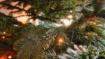 Алиса и спасение Нового года