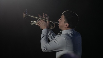 Arte Musicum. Шедевры мирового Jazza