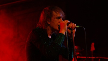 Собаки Табака