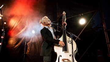 Скворцы Степанова. Unplugged