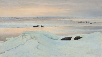 Арктика. Полюс цвета