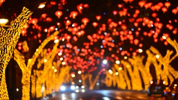 Новогодний концерт баяниста для всей семьи в ретротрамвае