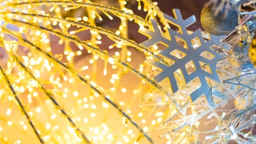 Новогодний Петербург на ретротрамвае