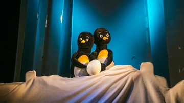 Приключения пингвинят