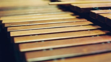 XX век начинается