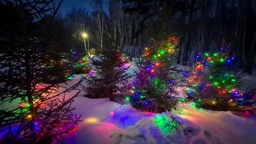 Ёлки-палки, Новый год!