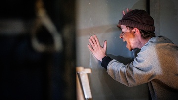 Человеческий голос