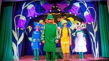 История одной мечты