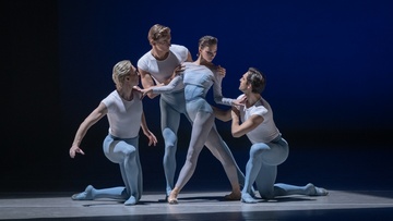 Отражения. Королевы вариаций