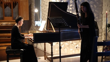 Французские орнаменты