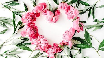 Анна Герман. Эхо любви