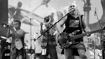 Скворцы Степанова