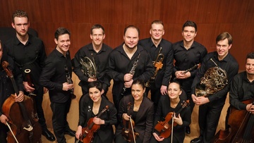 Ко дню рождения Моцарта. Камерата РНО, Александр Рудин