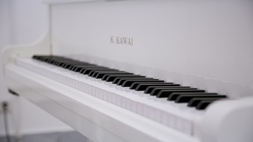 Звучание эпох. Классицизм и модерн. Альт, виолончель и рояль