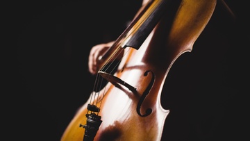 Трио «Дикий Гонзалес»