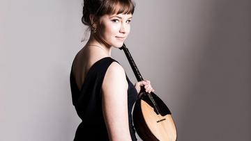 Кот – путешественник