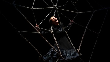 Почему люди не летают?