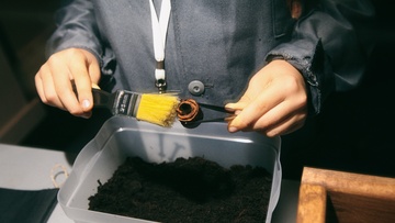 Sciencely. Археология