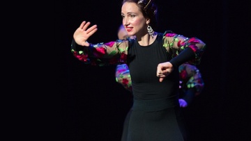 Flamenco на крыше. Рождественская вечеринка