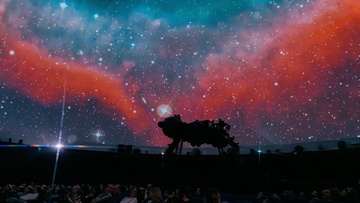 Концерт под звёздами. Орган & скрипка: симфония в темноте