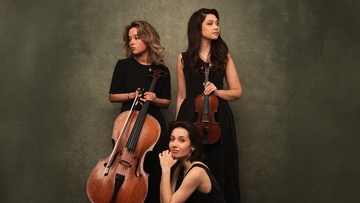 Фортепианное трио Element