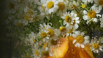 Оркестр «Модерн». Рихтер & Эйнауди: оркестровые эскизы