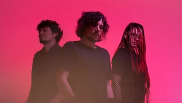 Адаптация пчёл