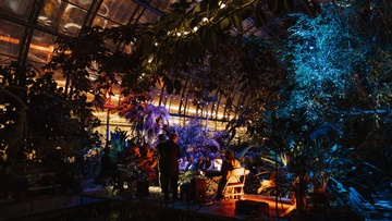 Магия свечей. Золотой век Голливуда