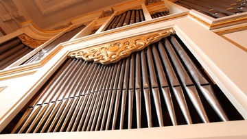 Ольга Бестужева