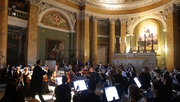 Симфония струнных