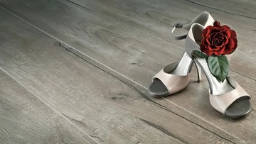 Мастера танца