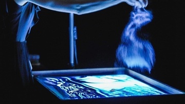 Сказки Чижика. Маленький принц