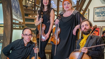 Венские гостиные