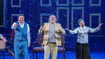 Рождественский переполох