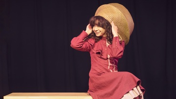 Дамы города N