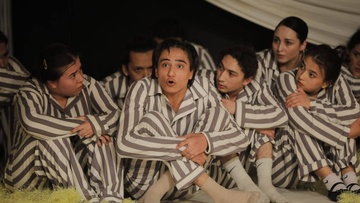 Звериные истории