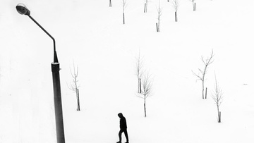 IV Биеннале чёрно-белой фотографии MFamilia