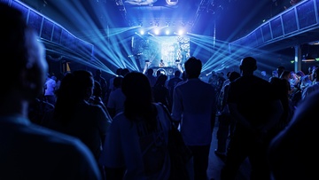 Слоны: 360. Elephant Trunk