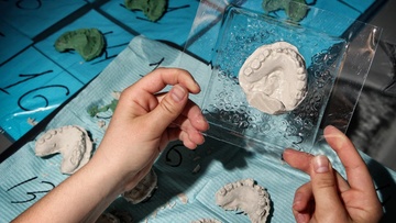 Медицинские программы от Sciencely