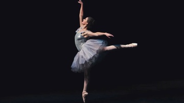 Лебединое озеро