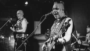 Скворцы Степанова