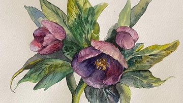 Акварельная ботаника