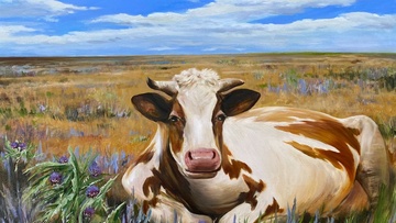 Необъятные просторы