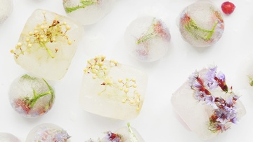 Флориография. Язык цветов в искусстве