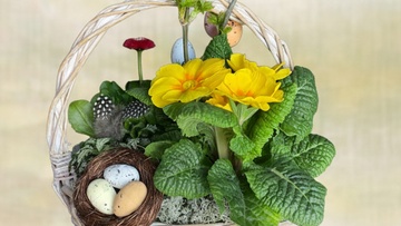 Пасхальная композиция из живых цветов