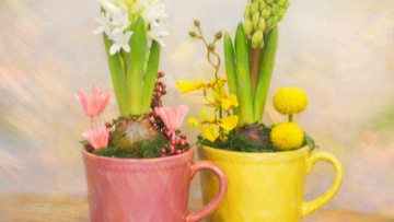 Цветочная композиция с живым гиацинтом