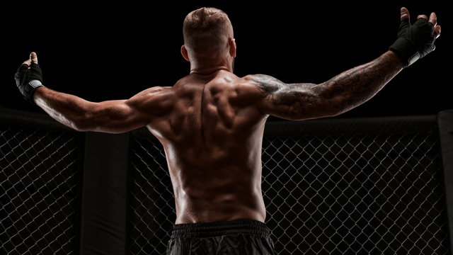 Кулачные бои