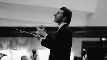 Алексей Рубин, Борис Березовский и ГСО Челябинской области